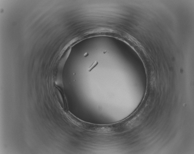 X0000073521321200608211755