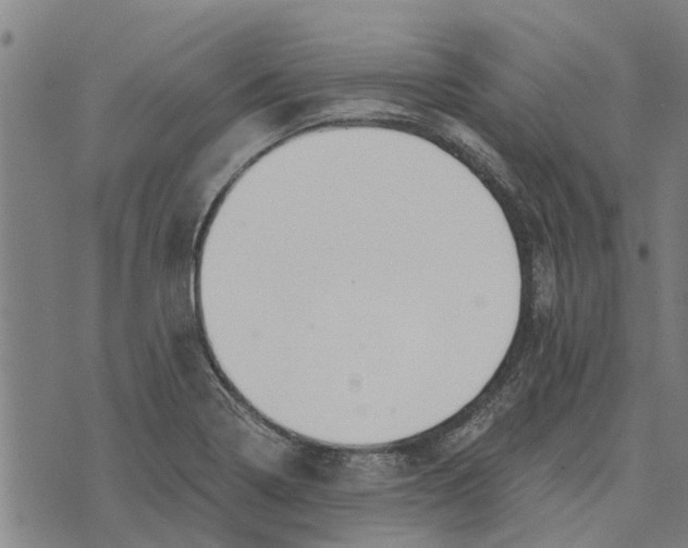 X0000073521322200608211755