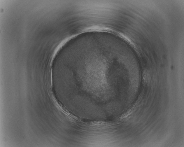 X0000073521323200608211755