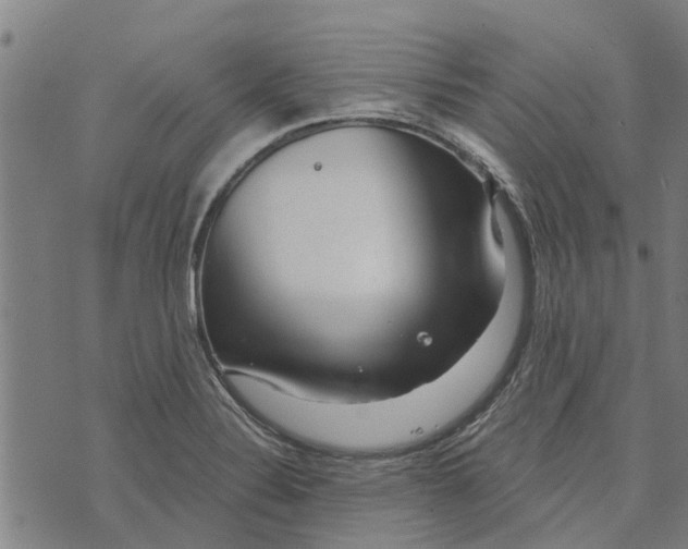 X0000073521324200608211755