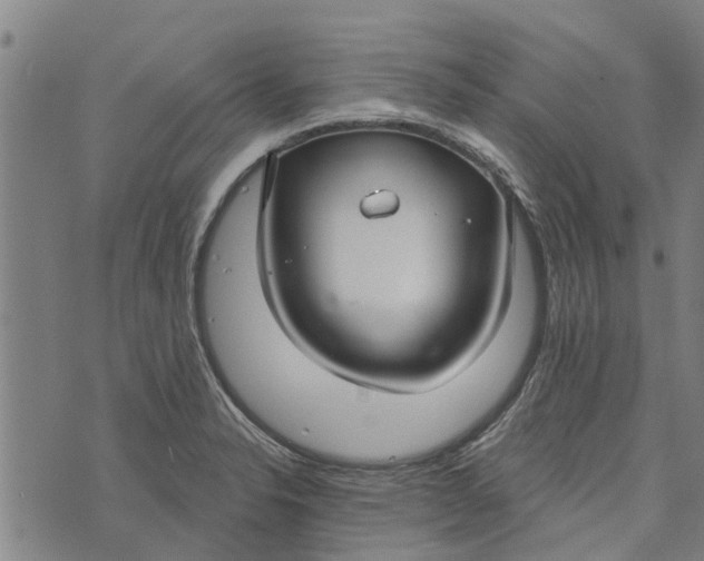 X0000073521326200608211755