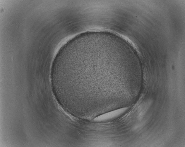 X0000073521327200608211755