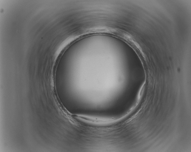 X0000073521328200608211755