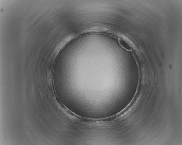 X0000073521329200608211755