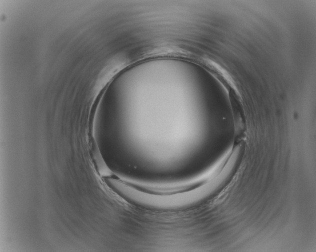 X0000073521330200608211755