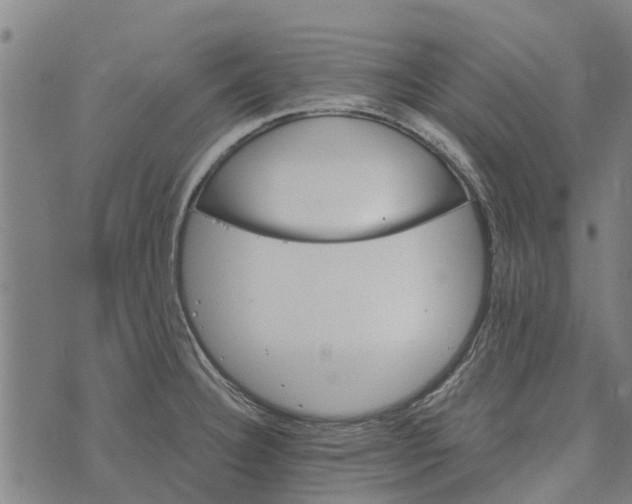 X0000073521332200608211755