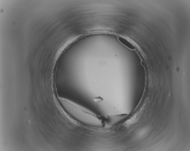 X0000073521333200608211755