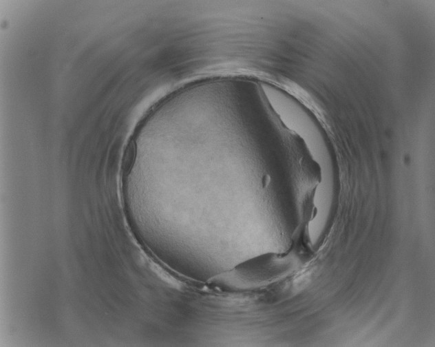 X0000073521334200608211755