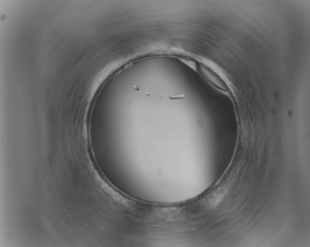 X0000073521335200608211755