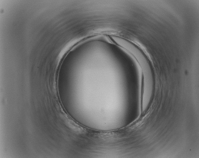 X0000073521336200608211755