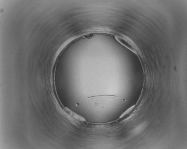 X0000073521339200608211755