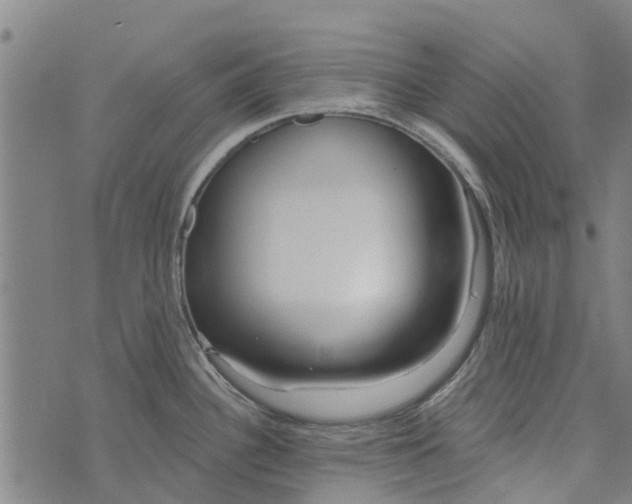 X0000073521340200608211755