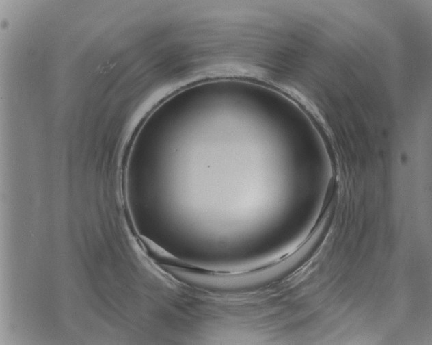 X0000073521342200608211755