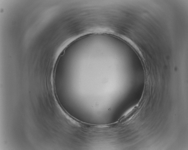 X0000073521343200608211755