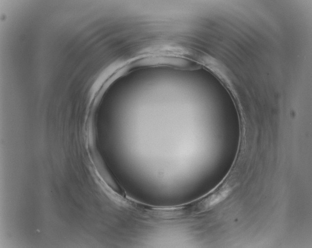 X0000073521344200608211755