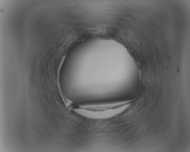 X0000073521345200608211754