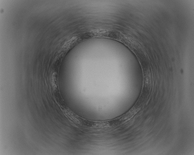 X0000073521346200608211754