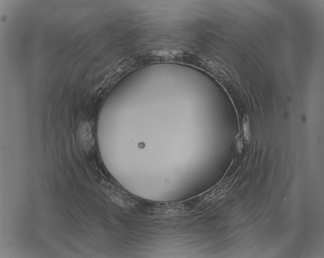 X0000073521347200608211754