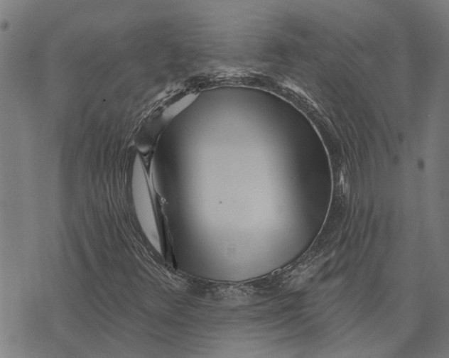 X0000073521348200608211754