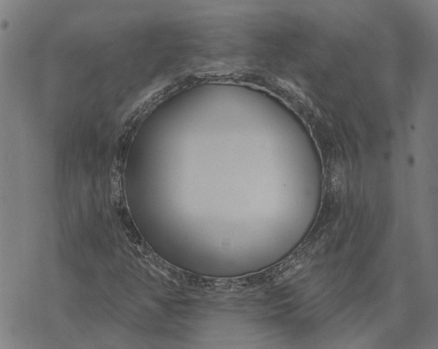 X0000073521350200608211754