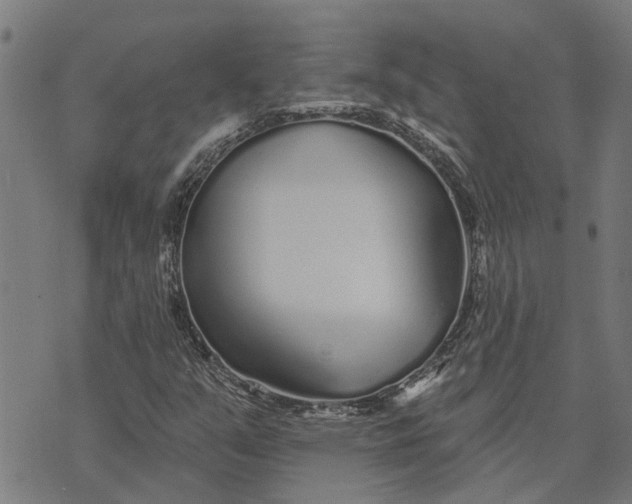 X0000073521351200608211754