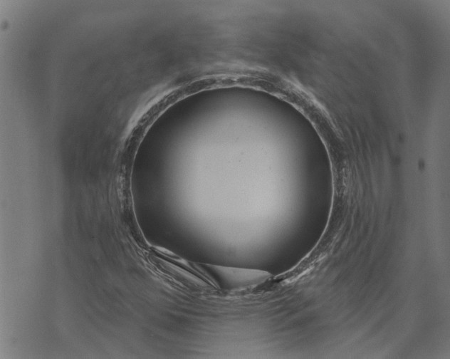 X0000073521352200608211754