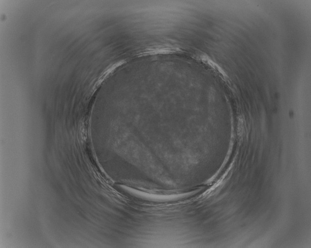 X0000073521353200608211754