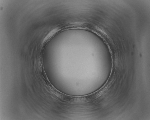 X0000073521354200608211754