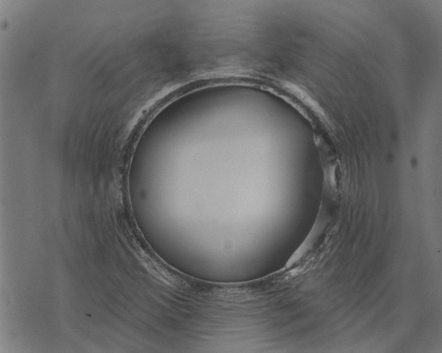 X0000073521356200608211754