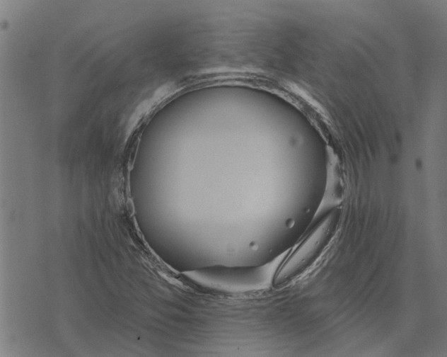 X0000073521357200608211754