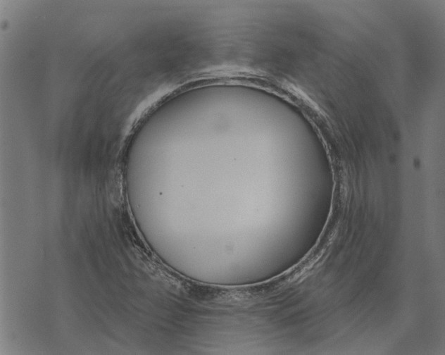 X0000073521358200608211754