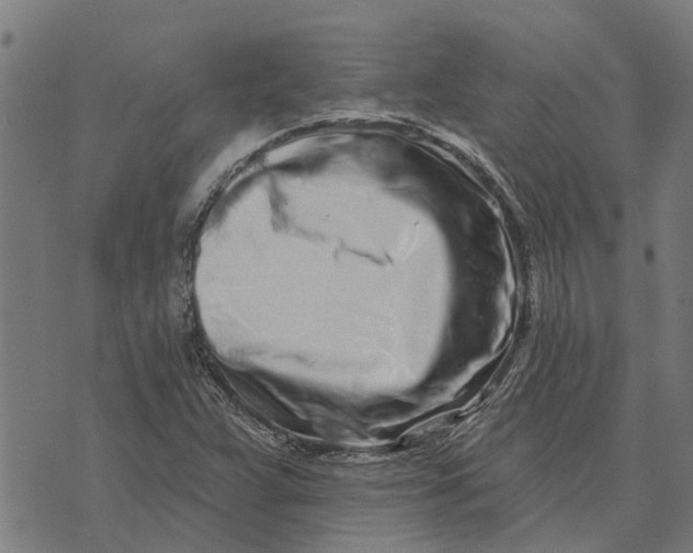 X0000073521359200608211754