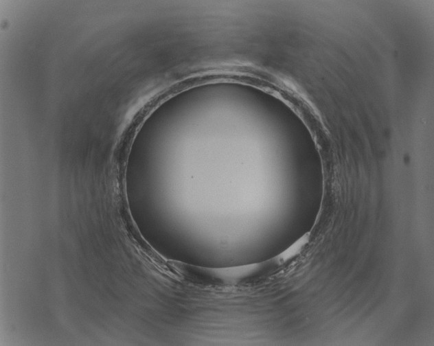 X0000073521360200608211754