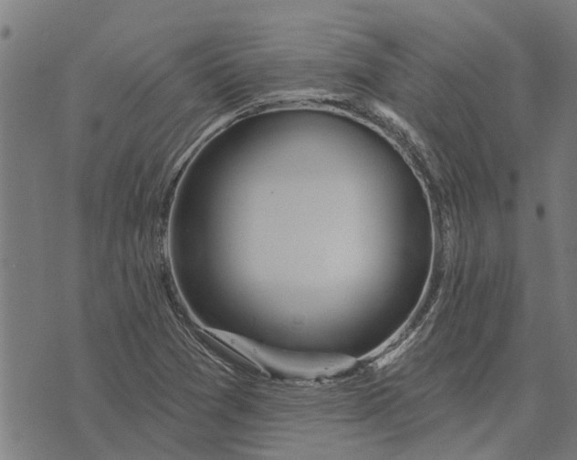 X0000073521361200608211754