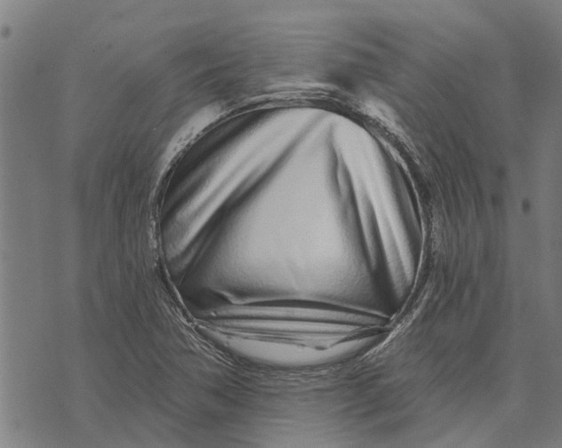 X0000073521362200608211754