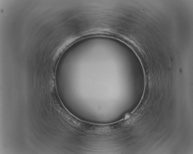 X0000073521363200608211754