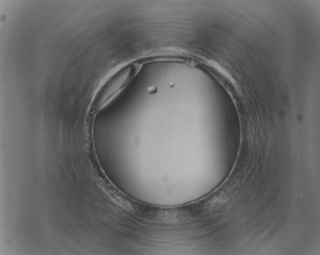 X0000073521364200608211754