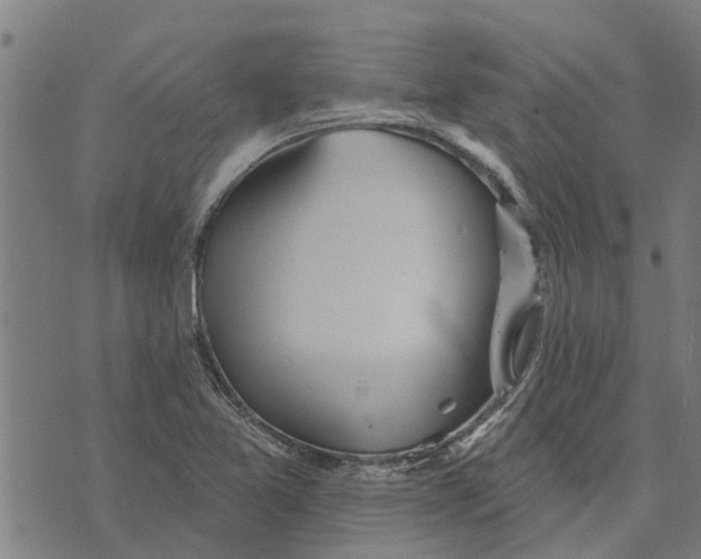 X0000073521365200608211754