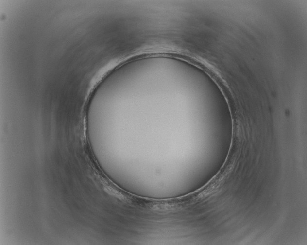 X0000073521366200608211754