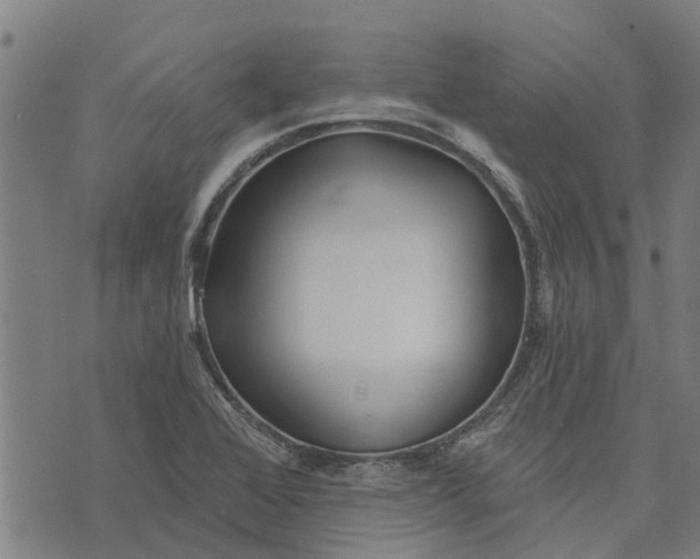 X0000073521368200608211754