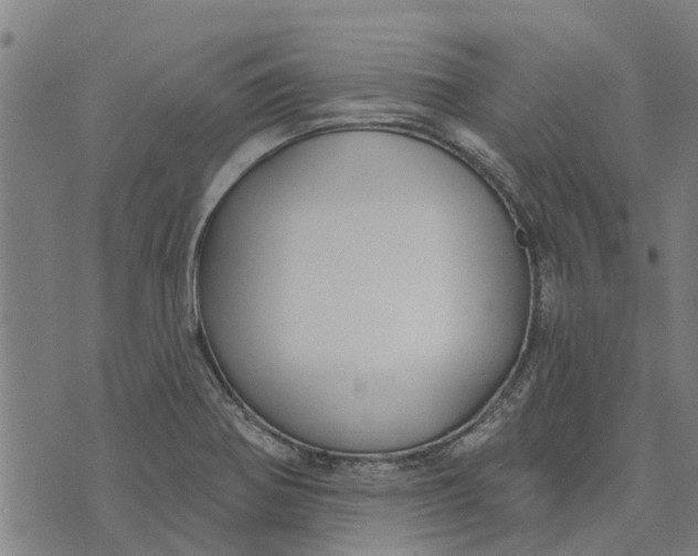 X0000073521370200608211754