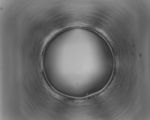 X0000073521371200608211754