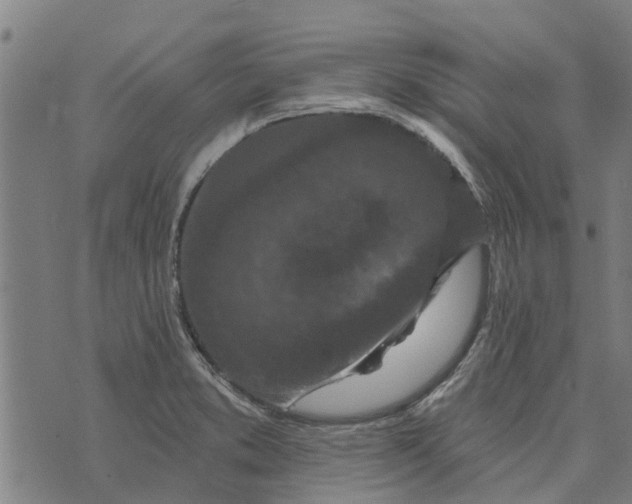 X0000073521373200608211754