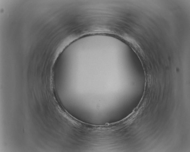 X0000073521374200608211754