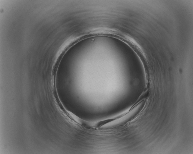 X0000073521376200608211754