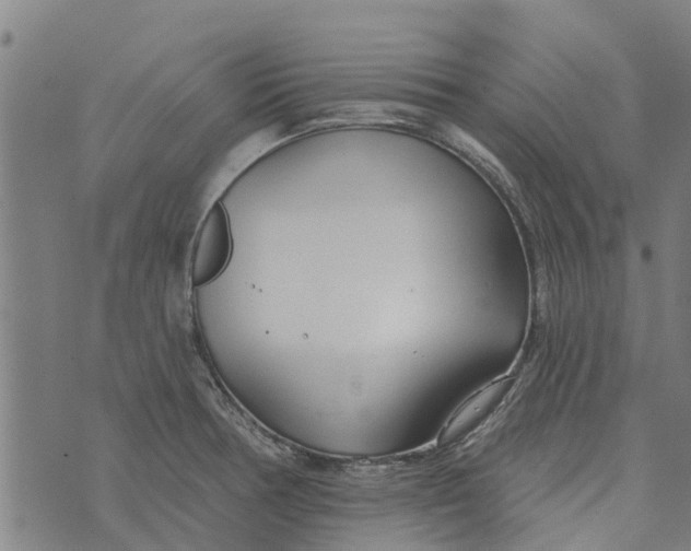 X0000073521378200608211754