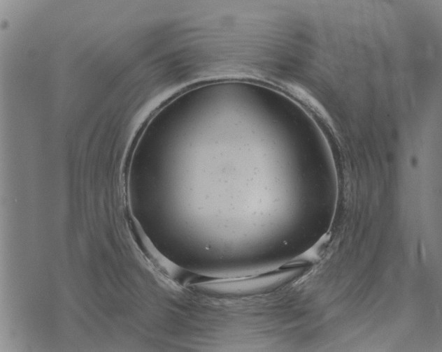 X0000073521380200608211754