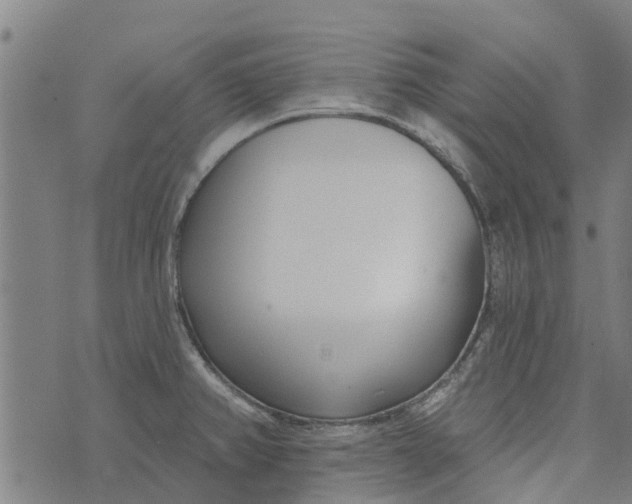 X0000073521382200608211754