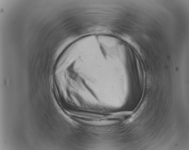 X0000073521383200608211754