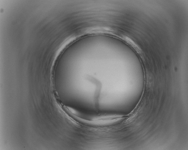 X0000073521384200608211754